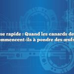 Réponse rapide : Quand les canards de Pékin commencent-ils à pondre des œufs ?